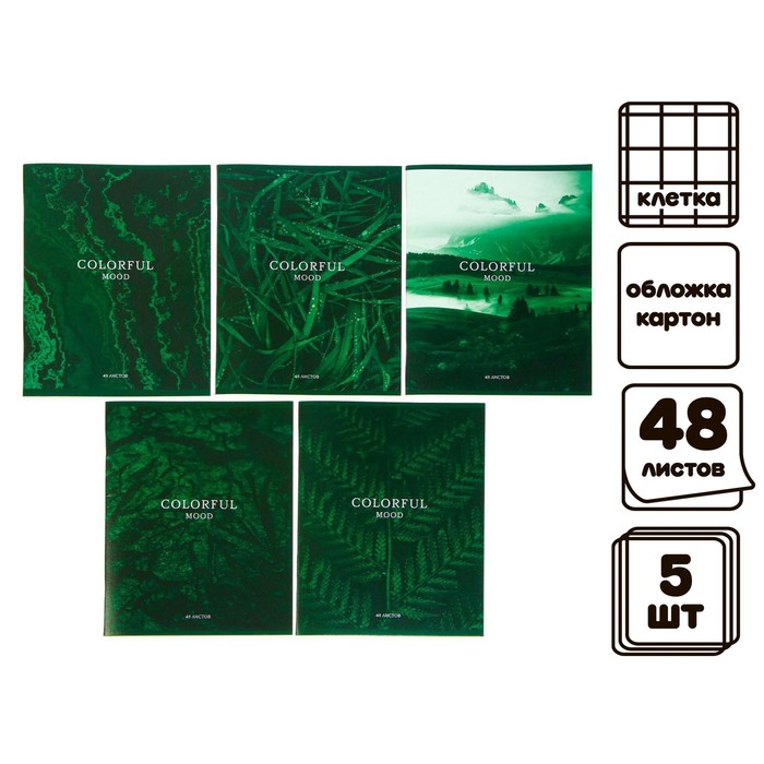 Комплект тетрадей из 5 штук, 48 листов в клетку Calligrata "Изумруд", обложка мелованный картон, блок №2, белизна 75% (серые листы) - Фото 1