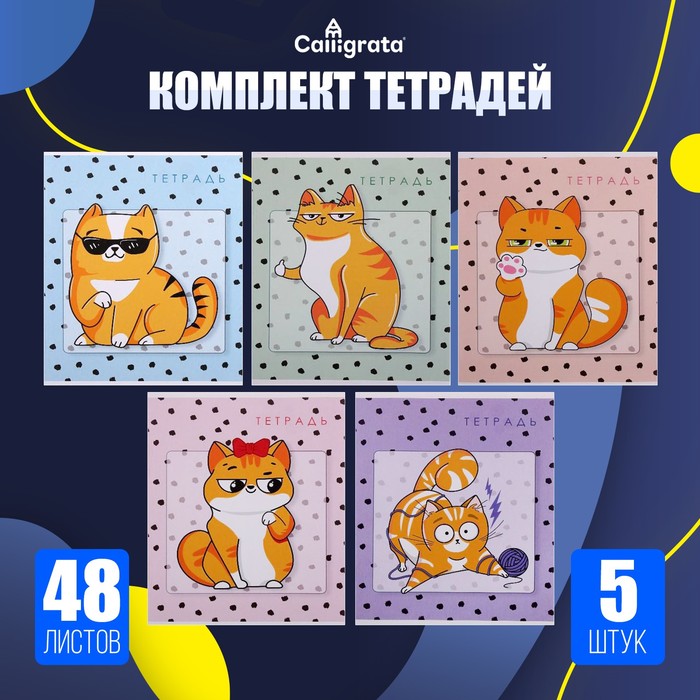 Тетради 5 штук, 48 листов в клетку «Коты», обложка мелованный картон, блок офсет