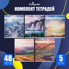 Комплект тетрадей из 5 штук (4 разные + 1 повторяющаяся), 48 листов в клетку Calligrata «Красоты природы», серые листы, обложка мелованная, блок №2 - Фото 1