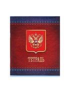 Набор тетрадей, 48 листов в клетку, Calligrata «Россия», серые листы, 5 штук 7726086 - фото 5495685