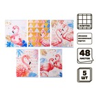Комплект тетрадей из 5 штук, 48 листов в клетку Calligrata "Фламинго", обложка мелованный картон, УФ-лак, блок офсет - фото 318847320