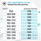 Палки лыжные стеклопластиковые, длина 65 см, цвета микс - Фото 4