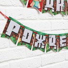 Гирлянда на ленте «С Днем Рождения», длина 250 см - Фото 5