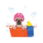 Органайзер в ванну на присосках «Пес в ванной», для хранения игрушек и мелочей, размер 33х39 см - Фото 2