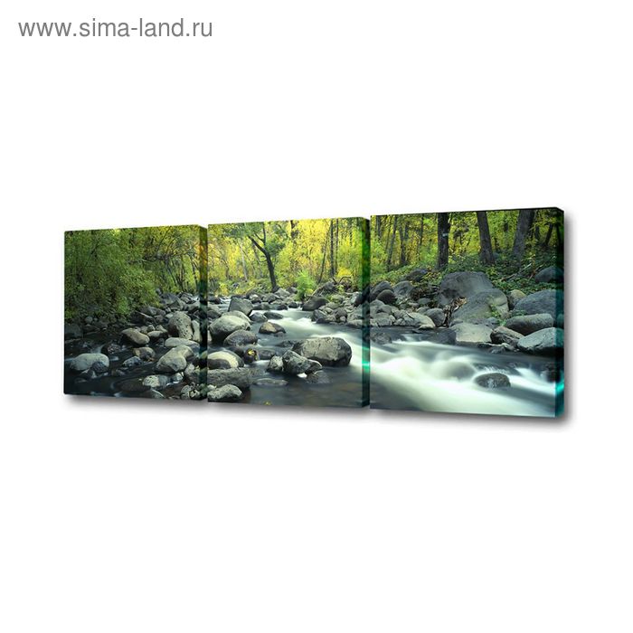 Картина модульная на подрамнике "Лесная река"  50*50см, 50*50см, 50*50см  150x50см - Фото 1