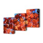 Картина модульная на подрамнике "Осенние листья" 3-50*70 см, 150x70 см - Фото 1