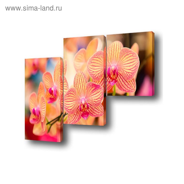 Картина модульная на подрамнике "Орхидея" 1-50*50, 2-50*75 см, 150x75 см - Фото 1