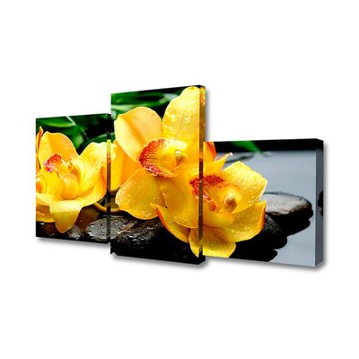 Картина модульная на подрамнике "Жёлтые Орхидеи на камнях" 26*40,26*50,26*31 80*50см