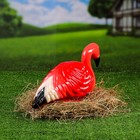 Садовая фигура "Фламинго", для гнезда, керамика, 42х16х22 см - Фото 5