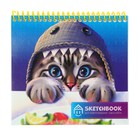 Скетчбуки для карандашных набросков А6+, 64 листа на гребне "Котёнок", обложка мелованный картон, жёсткая подложка, глянцевая ламинация, блок 60 г/м2 - фото 10313542