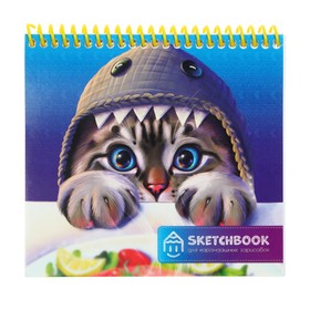 Скетчбуки для карандашных набросков А6+, 64 листа на гребне "Котёнок", обложка мелованный картон, жёсткая подложка, глянцевая ламинация, блок 60 г/м2