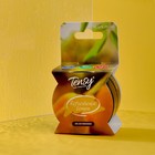 Ароматизатор Tensy баночка на гелевой основе, Освежающий лимон, TZ-21 - фото 318847930