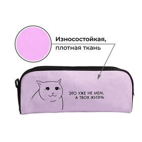 Пенал школьный, текстиль, 8×20×4 см «Бесишь»