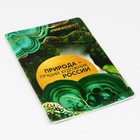 Обложка для паспорта «Природа — лучший художник России», ПВХ - фото 6583615