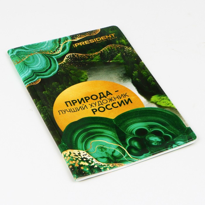 Обложка для паспорта «Природа — лучший художник России», ПВХ - фото 1908886606