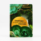 Обложка для паспорта «Природа — лучший художник России», ПВХ - фото 6583617