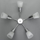 Люстра Неман 5х40Вт Е14 хром 56х56х17см 7809738