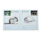 Раскраска-пропись для детского сада "Дикие звери" - Фото 2