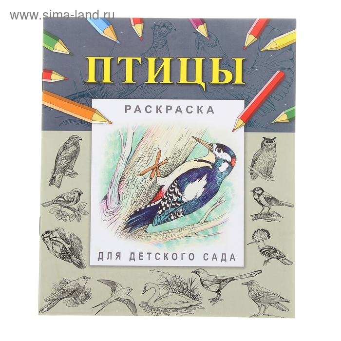 Раскраска-пропись для детского сада "Птицы" - Фото 1