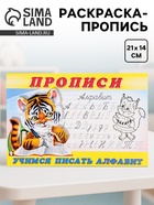 Раскраска-пропись «Учимся писать алфавит» - Фото 1