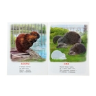 Учебники с наклейками "Зоопарк" - Фото 2