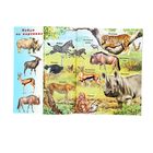 Найди и наклей "Животный мир Африки" - Фото 2