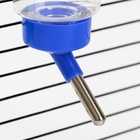 Поилка для грызунов «Пижон», 250 мл, синяя - Фото 6