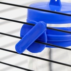 Поилка для грызунов «Пижон», 250 мл, синяя - Фото 7