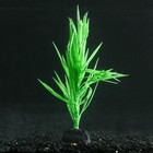 Растение силиконовое аквариумное, светящееся в темноте, 7 х 12,5 см, зелёное - фото 9688108