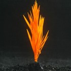 Растение силиконовое аквариумное, светящееся в темноте, 7 х 12,5 см, оранжевое - фото 9688112