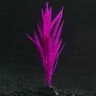 Растение силиконовое аквариумное, светящееся в темноте, 7 х 12,5 см, фиолетовое - Фото 1