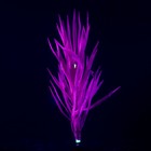 Растение силиконовое аквариумное, светящееся в темноте, 7 х 12,5 см, фиолетовое - Фото 2