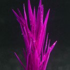 Растение силиконовое аквариумное, светящееся в темноте, 7 х 12,5 см, фиолетовое - Фото 3