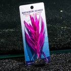 Растение силиконовое аквариумное, светящееся в темноте, 7 х 12,5 см, фиолетовое - Фото 4