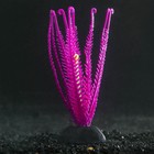 Растение силиконовое аквариумное, светящееся в темноте, 9 х 14 см, фиолетовое - фото 9688128