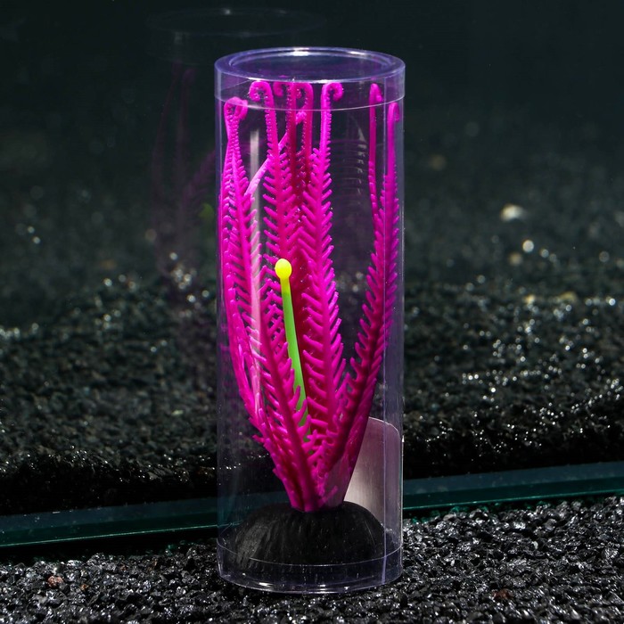 Силиконовая аквариум. Растение силиконовое аквариумное, светящееся в темноте, 14 х 10 см,. Фиолетовое желе. Фиолетовые Кристаллы они ночью светятся.