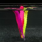 Растение силиконовое аквариумное, светящееся в темноте, 8 х 9 х 10,5 см, цветное - фото 17017413