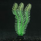 Растение силиконовое аквариумное, светящееся в темноте, 4,5 х 15 см, зелёное - фото 17017417