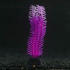 Растение силиконовое аквариумное, светящееся в темноте, 4,5 х 15 см, фиолетовое - фото 9688152