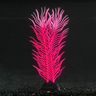 Растение силиконовое аквариумное, светящееся в темноте, 6,5 х 18 см, розовое - фото 318849828