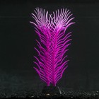 Растение силиконовое аквариумное, светящееся в темноте, 6,5 х 18 см, фиолетовое - фото 318849832