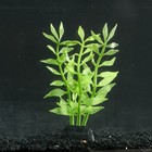 Растение силиконовое аквариумное, светящееся в темноте, 8 х 15 см, зелёное - фото 9688164