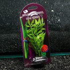 Растение силиконовое аквариумное, светящееся в темноте, 8 х 15 см, зелёное - Фото 4