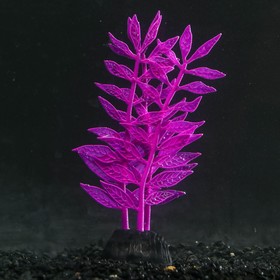 Растение силиконовое аквариумное, светящееся в темноте, 8 х 15 см, фиолетовое