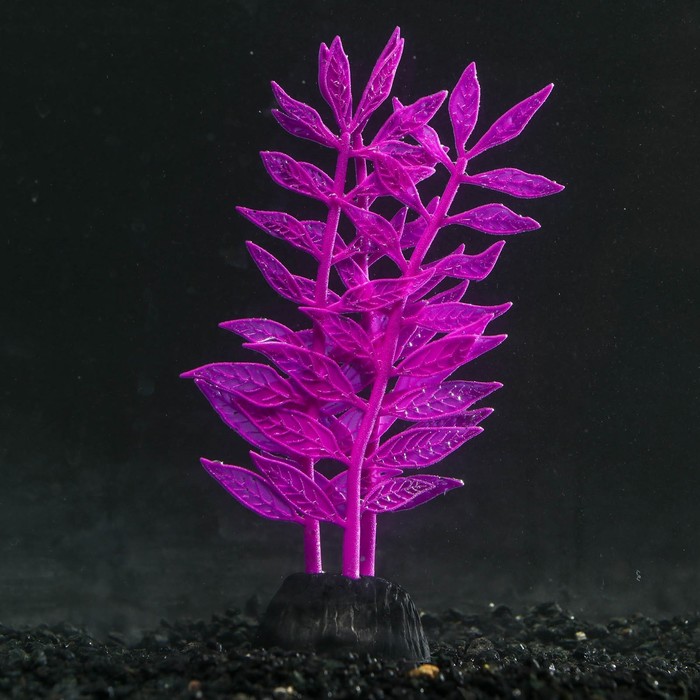 Растение силиконовое аквариумное, светящееся в темноте, 8 х 15 см, фиолетовое - Фото 1