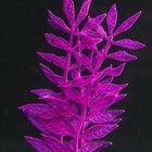 Растение силиконовое аквариумное, светящееся в темноте, 8 х 15 см, фиолетовое - Фото 3