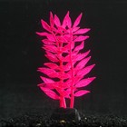 Растение силиконовое аквариумное, светящееся в темноте, 8 х 15 см, розовое - фото 9688172