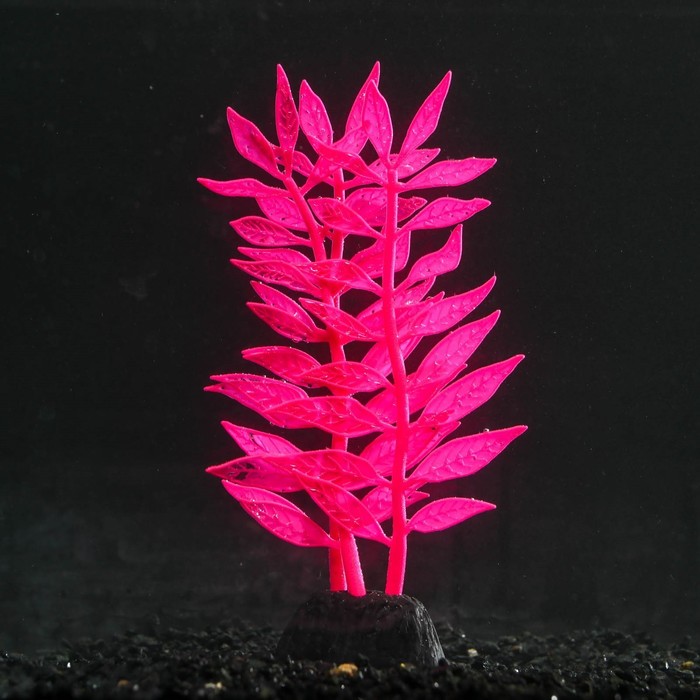 Растение силиконовое аквариумное, светящееся в темноте, 8 х 15 см, розовое - Фото 1