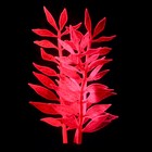 Растение силиконовое аквариумное, светящееся в темноте, 8 х 15 см, розовое - Фото 2