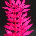 Растение силиконовое аквариумное, светящееся в темноте, 8 х 15 см, розовое - Фото 3